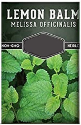 CYBEXIS Lemon Balm-100 Seeds Seed(100 per packet)