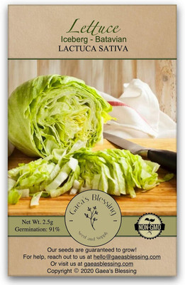 Qualtivate HUA-8A Lettuce Iceberg Batavian Seed(300 per packet)