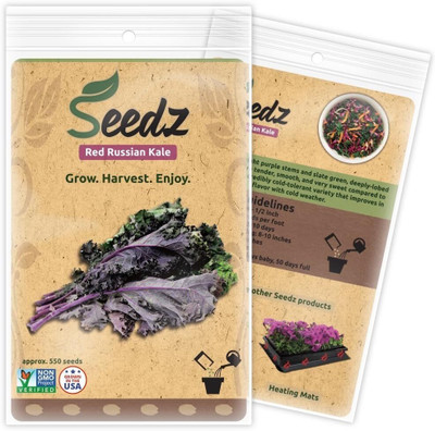 WILLVINE SYN -XVI Red Russian Kale - Heirloom [25g] Seed(7500 per packet)