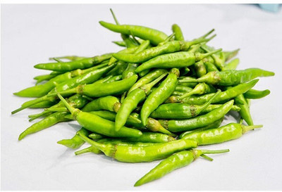 Farmonix Bird Pepper Green Chili Seed(800 per packet)