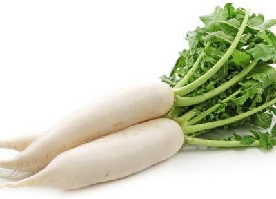 Qualtivate ATS-223 Radish White Icicle Seeds Seed(500 per packet)