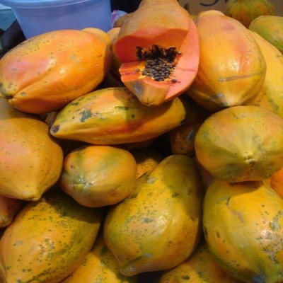 KLARKEE Florida Red Royale Papaya Seeds Seed(50 per packet)