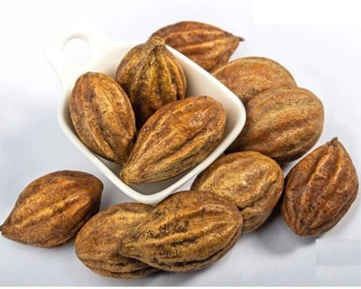 Kishori HARAD BIG YELLOW, HARAD BADI PILI, HARITAKI, TERMINALIA CHEBULA Seed(100 per packet)