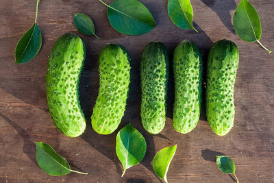 WILLVINE NBIR-254 Boston Pickling Cucumber Seeds Seed(200 per packet)