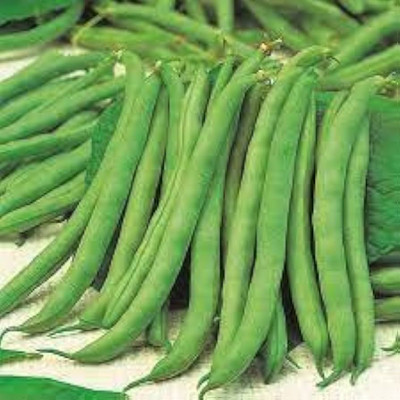 BJUBAS Green beans seeds pack of 13 Seed(13 per packet)