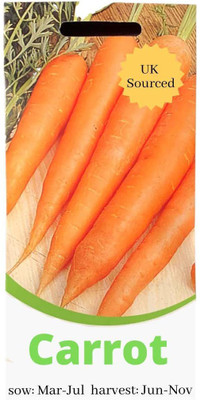 CYBEXIS Hybrid Seeds-Carrot2000 Seeds Seed(2000 per packet)