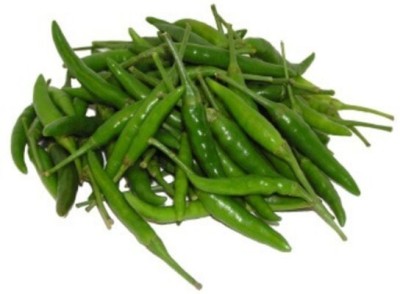 Quentova Super Spicy Green Chilli(Hari Mirch) / हरी मिर्च-2U-TKK Seed(250 per packet)