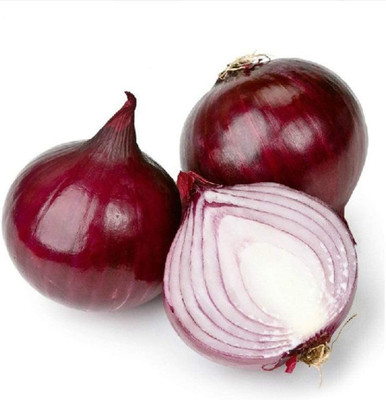 CYBEXIS Nasik Giant Red Onion Seeds2000 Seeds Seed(2000 per packet)