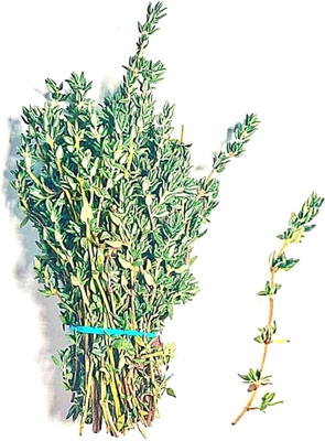 Mozette Organic thyme herb Seed(15 per packet)