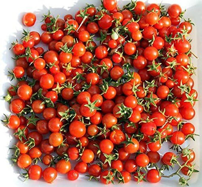 Qualtivate RES-3A Sweetie Cherry Tomato Seed(300 per packet)