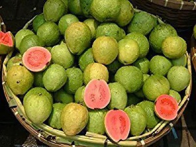 Aro Guava Seed(300 per packet)