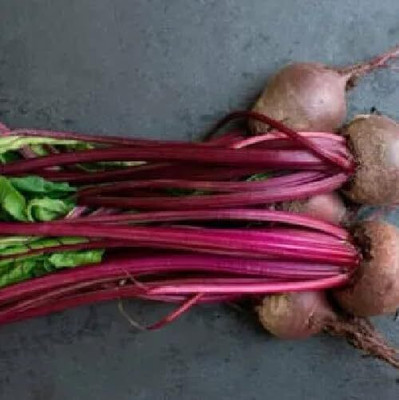 LPR CHUKANDAR,,BEETROOT Seed(20 per packet)