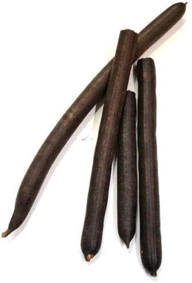 NATUREWAVE Amaltas (Phali) - Aragvadha - Cassia Fistula Pods Seed(50 g)