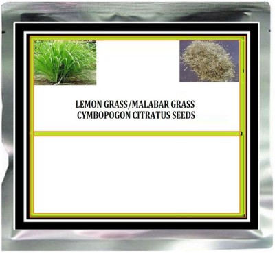 VibeX ® VMR-130 West Indian Lemon Grass Seed(500 per packet)