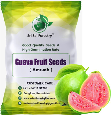 SRI SAI FORESTRY Guava Seeds, Amrud, Psidium Guajava Fruits Seed(100 per packet)