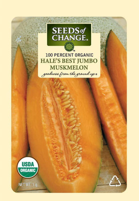 CYBEXIS GBPUT-44 - Certified Organic Hale's Best Muskmelon - (1350 Seeds) Seed(1350 per packet)