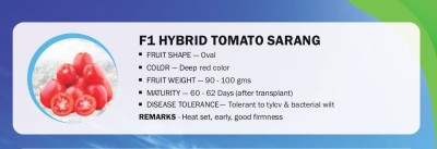 CYBEXIS F1 HYBRID TOMATO SARANG(250 Seeds) Seed(250 per packet)