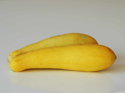 Mozette Squash yellow flower Seed(5 per packet)