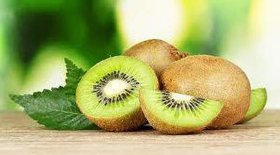 XOLDAA KIWI HYBRID F1 QUALITY FRUIT Seed(64 per packet)