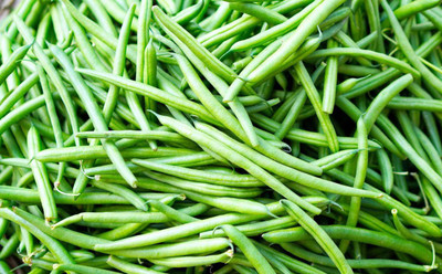 TRICONE Moringa Seed(40 per packet)