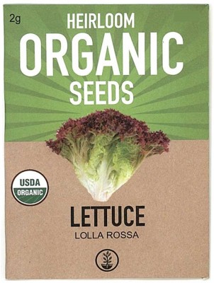 Biosnyg Lettuce Seeds - Lollo Rosso-[1000 Seeds] Seed(1000 per packet)