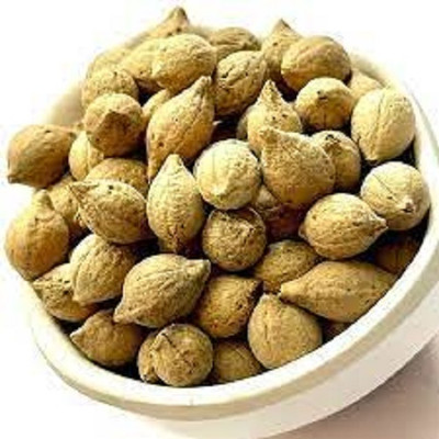 Elysian Enterprises Putrajeevak (Beej) - Jiya Pota (Seeds) - Putra Jivak Beej - Putra Jeevak Beej Seed(250 g)