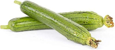 KNESSiN VII-27 Green Sponge Gourd Slender Seed(50 per packet)