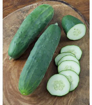 Qualtivate ICRA-3A Straight Eight Cucumber Seeds Seed(300 per packet)