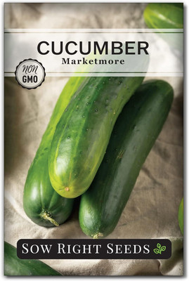 Qualtivate ICRA-7A Marketmore Cucumber Seeds Seed(300 per packet)