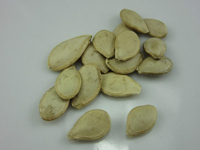 CYBEXIS bottle gourd Seed(900 per packet)