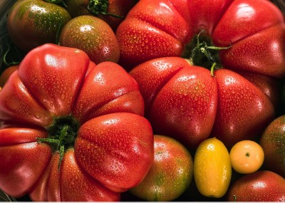 Quentova Rainbow Mix Tomato 5gm Seeds Seed(2000 per packet)