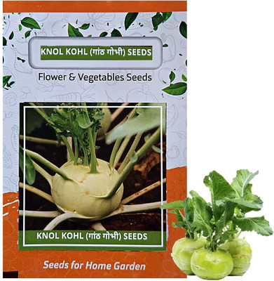 WILLVINE MAH -IV Delicacy White Kholrabi/Knolkhol F1 Hybrid [10g] Seed(3000 per packet)