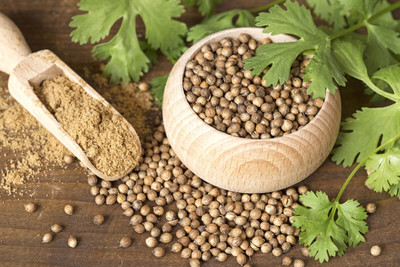 JAYANTAHALDER Coriander Seeds, dhoniya, high quality dhoniya Seed(250 per packet)