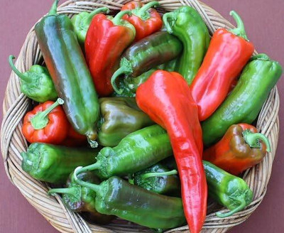 Biosnyg Open-Pollinated Peperoni di Senise Pepper Seeds For Planting-(4000 Seeds) Seed(4000 per packet)