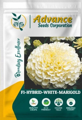fixeded JD AGRO F1 HYBRID WHITE MARIGOLD FLOWER SEEDS & PLANT Seed(1000 per packet)