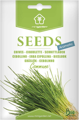 Qualtivate PUA-9A Hybrid Chives Seeds Seed(300 per packet)