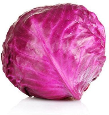 TRICONE Cabbage Seed(100 per packet)