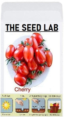 CYBEXIS Organic Vegetable Seeds-Cherry Tomato2000 Seeds Seed(2000 per packet)