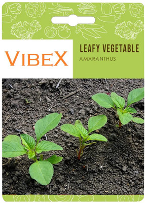 Biosnyg Amaranth Herb Seeds[500 Seeds] Seed(500 per packet)
