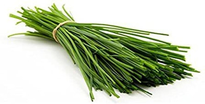 BHUSAN Garlic Chives Seed(60 per packet)