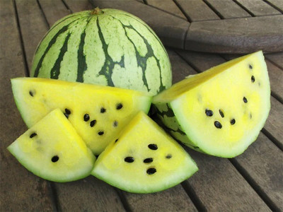 Quentova Early Moonbeam Watermelon-VS-4W Seed(150 per packet)