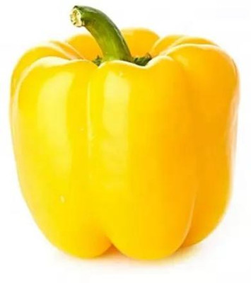 VASUDHA Capsicum Seed(800 per packet)