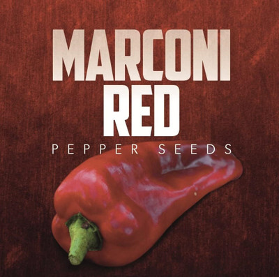Biosnyg High Yield Marconi Sweet Pepper Seeds For Planting-(1000 Seeds) Seed(1000 per packet)