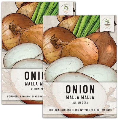 Qualtivate EXL-4AT Walla Walla Onion (Allium cepa) Seed(500 per packet)