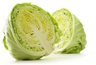 CYBEXIS Heirloom, Excellent Keeper Cabbage2000 Seeds Seed(2000 per packet)