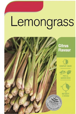 CYBEXIS XLR-6 - Lemon Grass (Hybrid) - (750 Seeds) Seed(750 per packet)