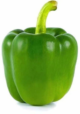 Pbevergreen Shimla mirch Seed(20 per packet)