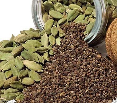 CYBEXIS PUAS-77 - Kerala Green Cardamom Choti Elaichi - (180 Seeds) Seed(180 per packet)