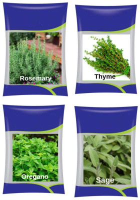 VibeX ™ XLL-1019- Rosemary, Thyme, Oregano, Sage Seed(100 per packet)