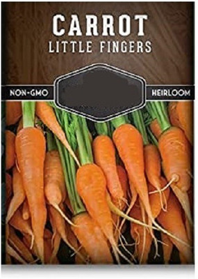 CYBEXIS Red Carrot1000 Seeds Seed(1000 per packet)